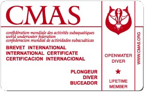 ダイビングライセンス種類CMASの認定Cカード