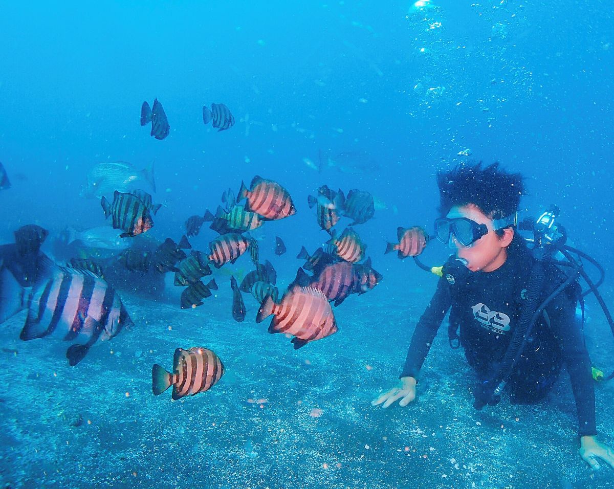 子供 ダイビング 魚と泳ぐ 海中体験