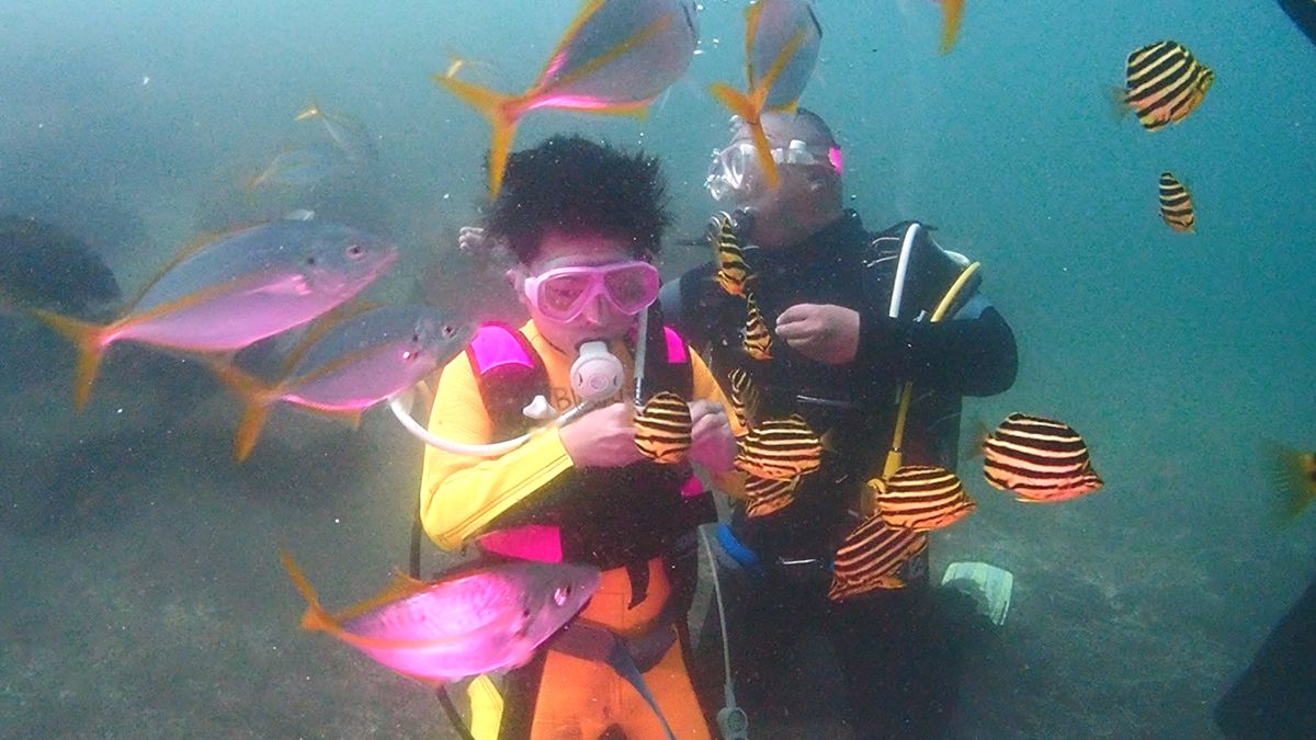 大瀬崎 体験ダイビング 子供 魚に餌付け